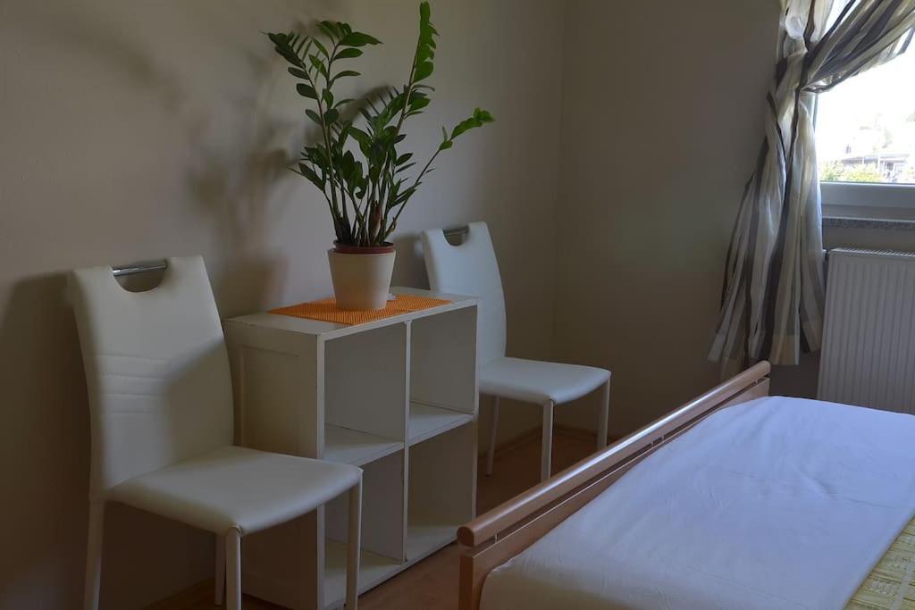 Apartman Ana Pula - Calm, Free Parking, Close To Center Exterior foto